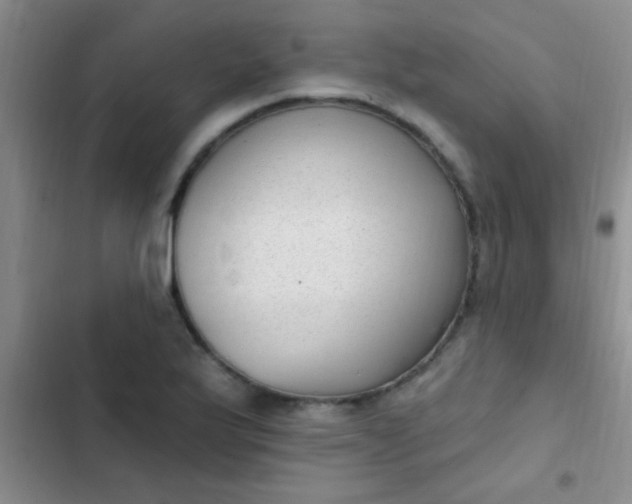 X0000102531175200808221858