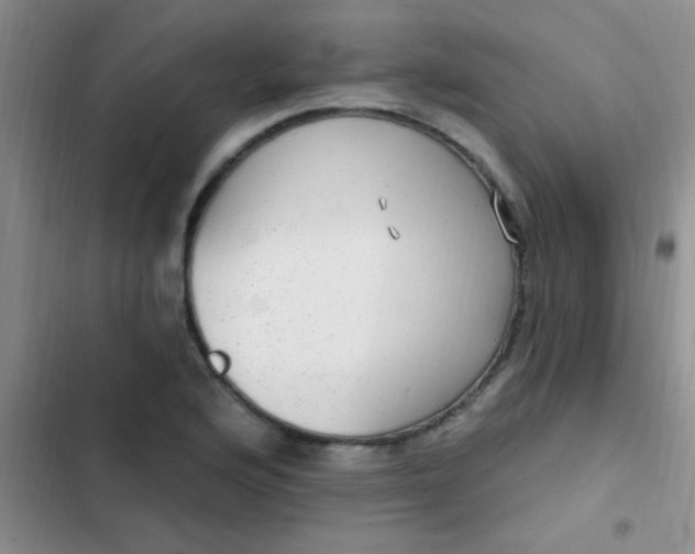 X0000102531176200808221858