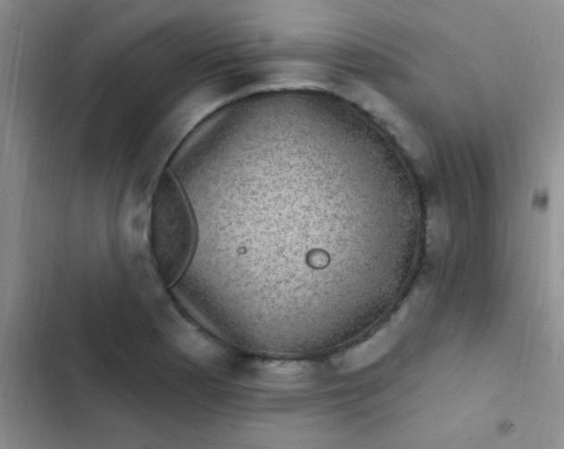 X0000102531177200808221858