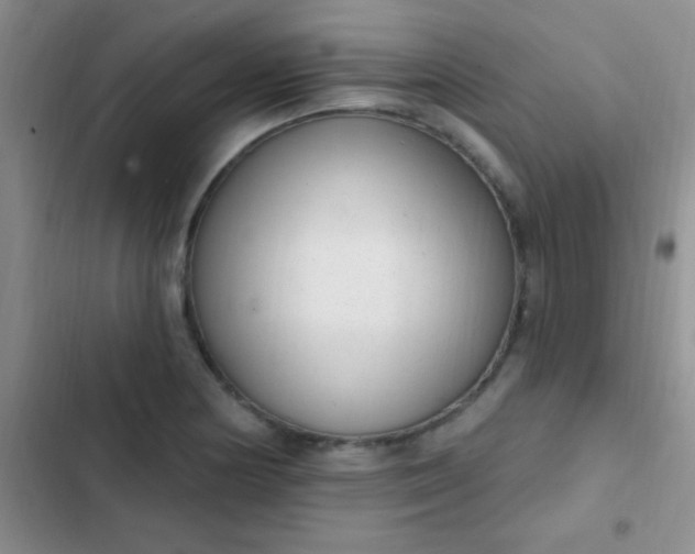 X0000102531178200808221858