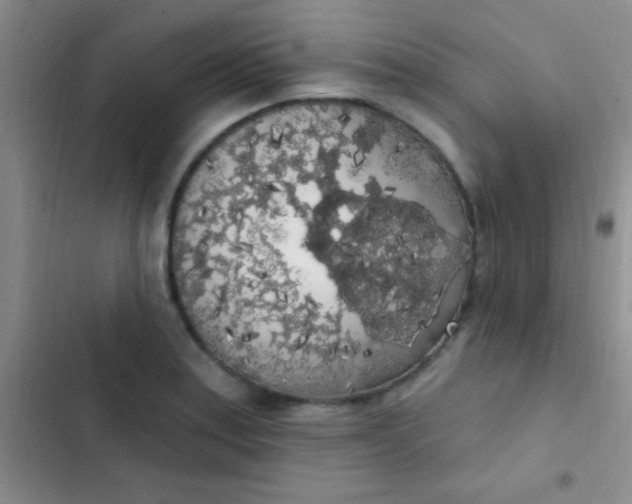 X0000102531179200808221858