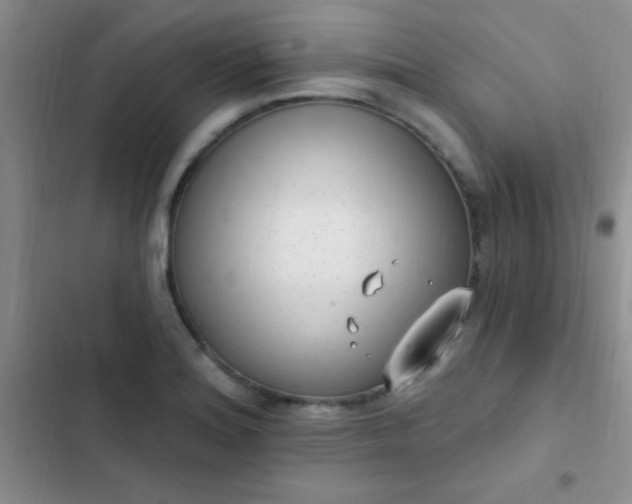 X0000102531180200808221858