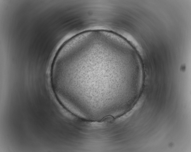 X0000102531181200808221858