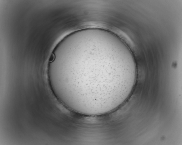 X0000102531182200808221858