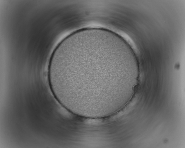 X0000102531183200808221858