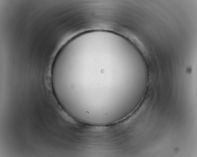 X0000102531184200808221858