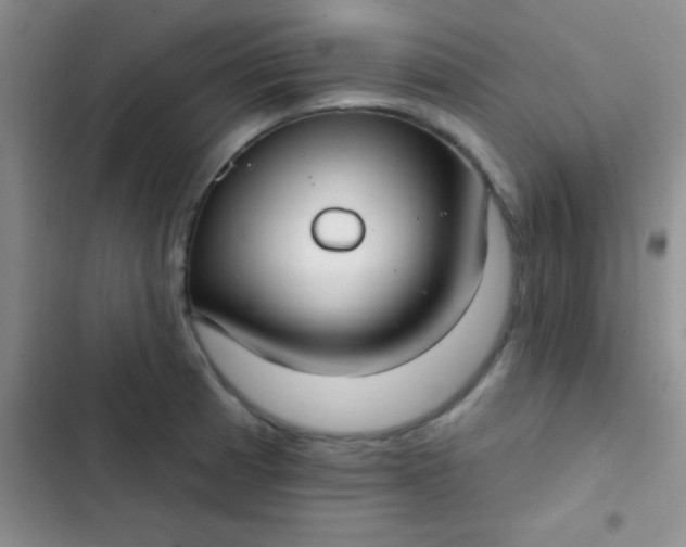 X0000102531185200808221858