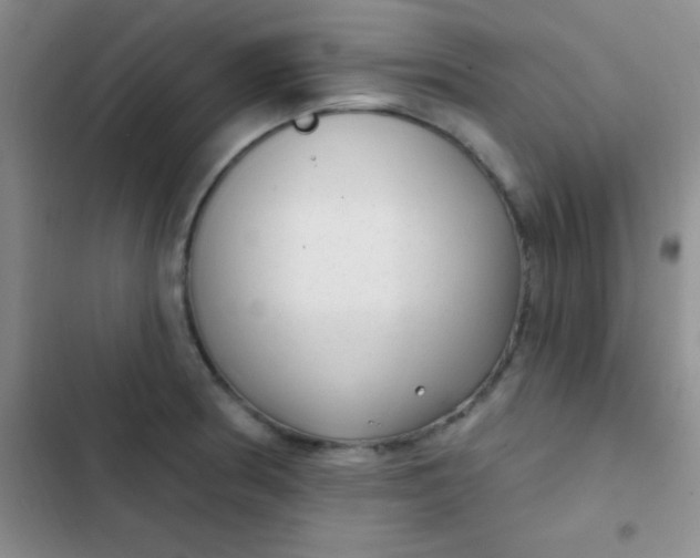 X0000102531186200808221858