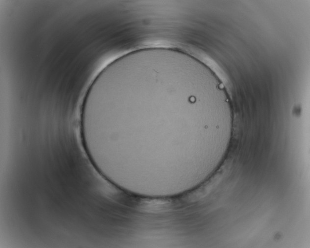 X0000102531187200808221858