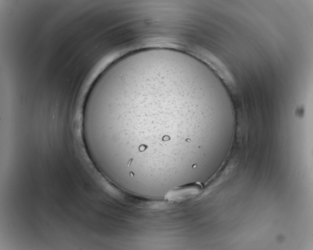 X0000102531188200808221858