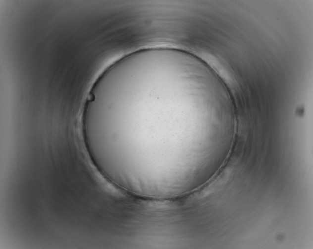 X0000102531189200808221858