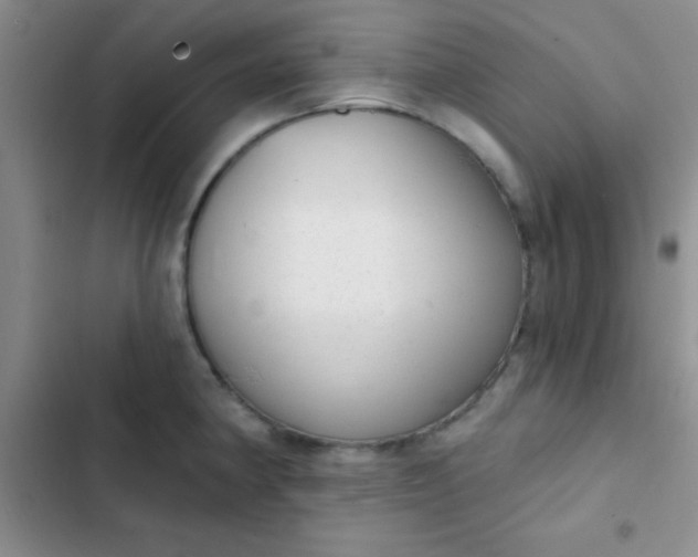 X0000102531190200808221858