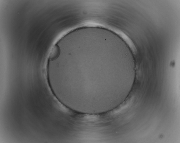 X0000102531191200808221858