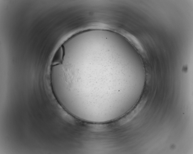 X0000102531192200808221858