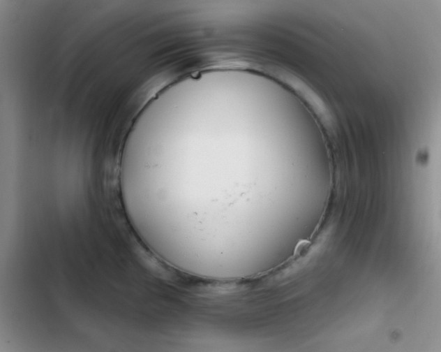 X0000102531193200808221858