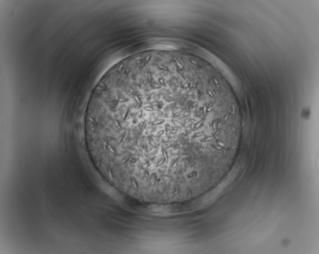 X0000102531194200808221858