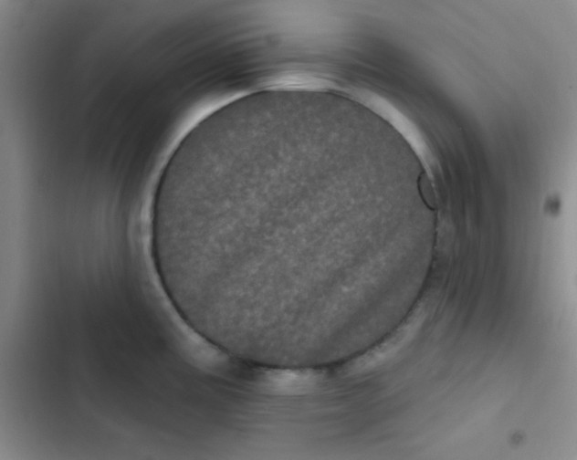 X0000102531195200808221858