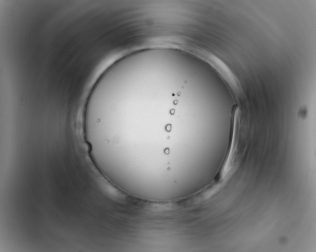 X0000102531196200808221858