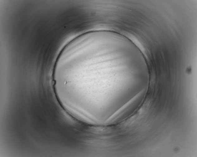 X0000102531197200808221858