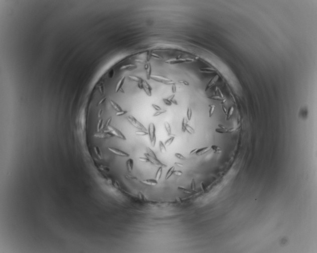 X0000102531198200808221858