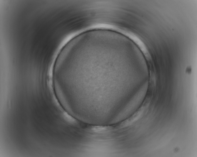 X0000102531199200808221858