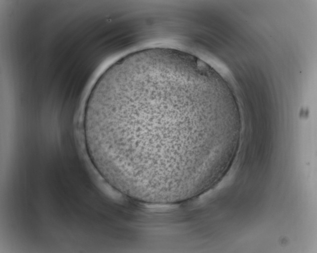 X0000102531200200808221858