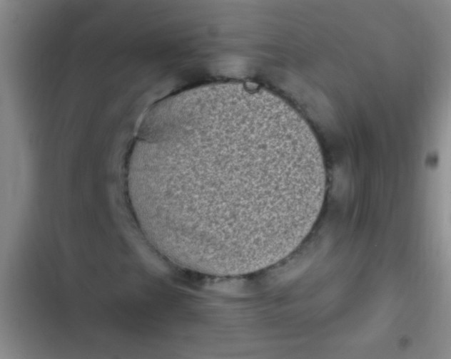 X0000102531201200808221857