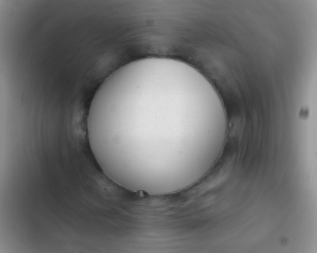 X0000102531202200808221857