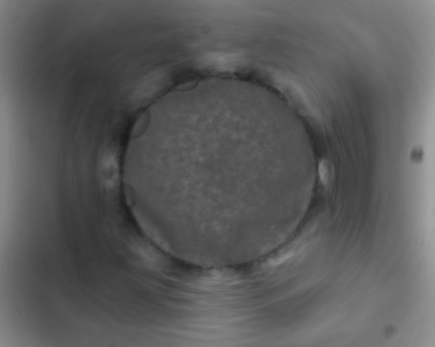 X0000102531203200808221857