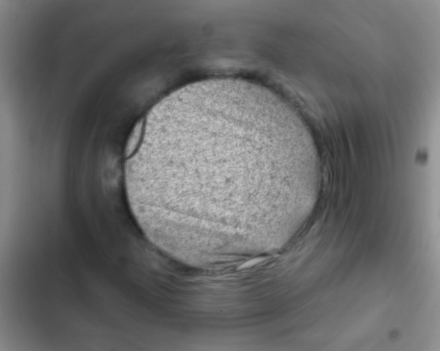 X0000102531204200808221857