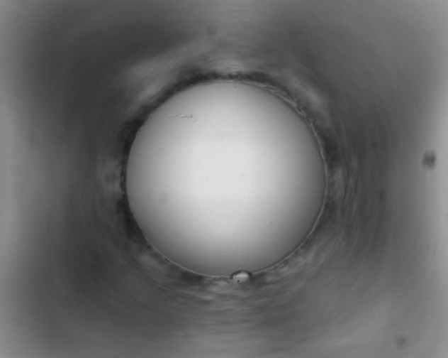 X0000102531205200808221857