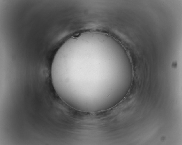 X0000102531206200808221857