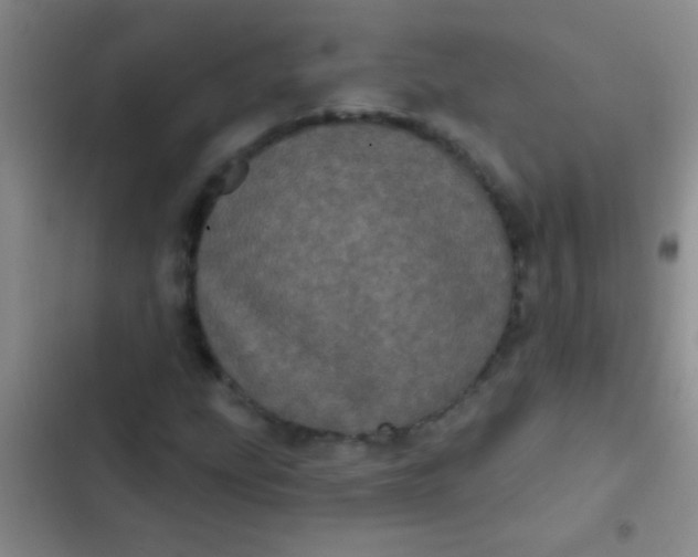 X0000102531207200808221857