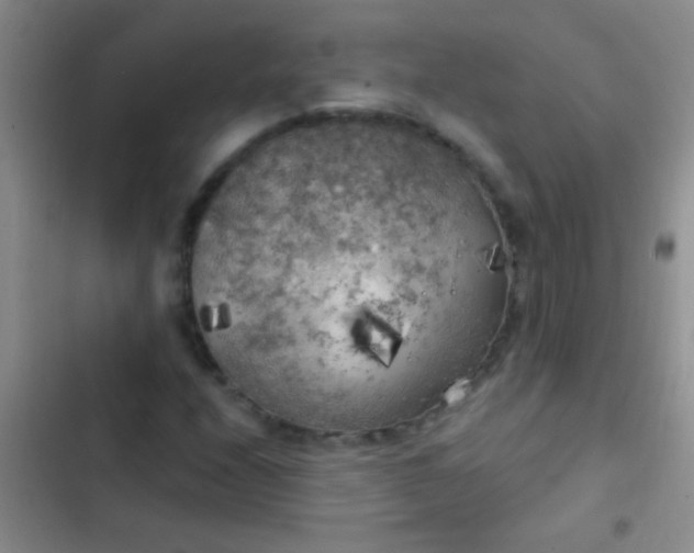 X0000102531208200808221857