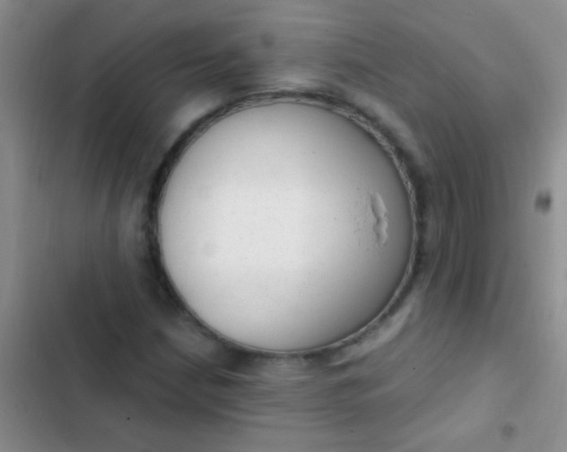 X0000102531210200808221857