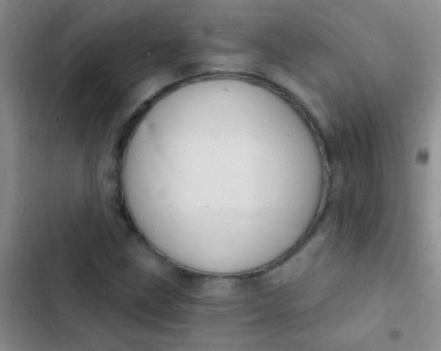 X0000102531211200808221857