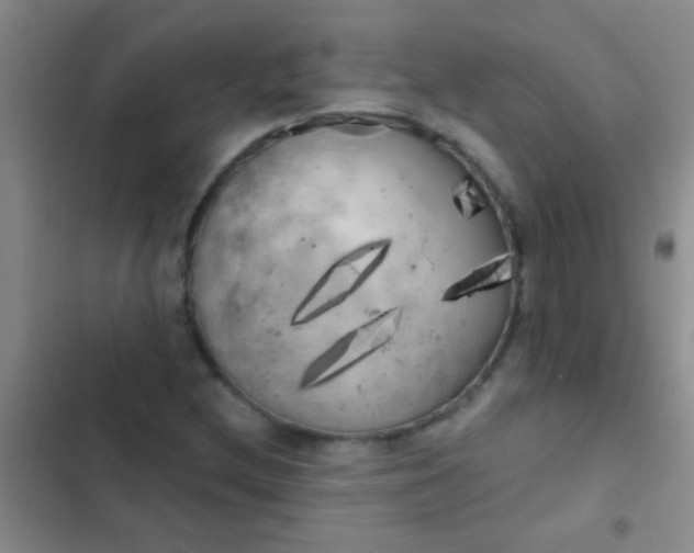 X0000102531212200808221857