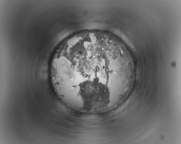 X0000102531213200808221857