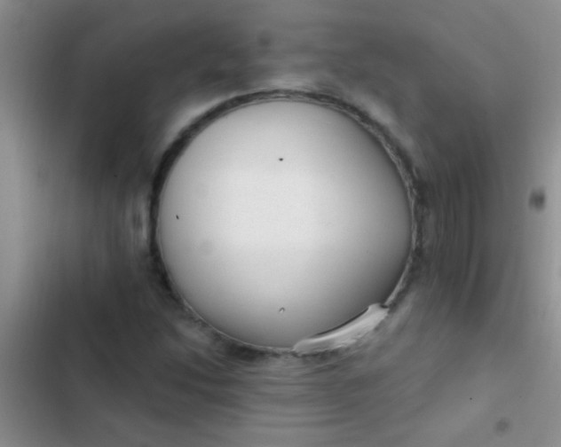 X0000102531214200808221857