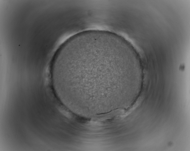 X0000102531215200808221857