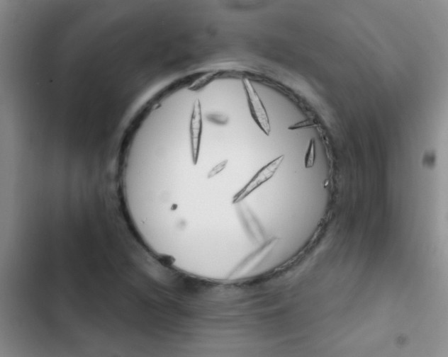 X0000102531216200808221857