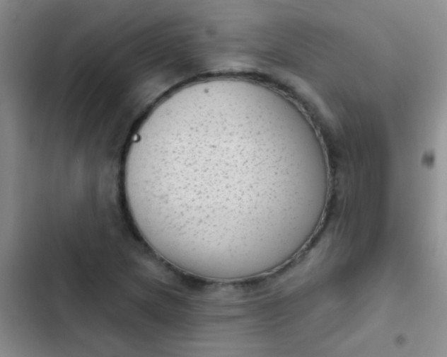 X0000102531217200808221857