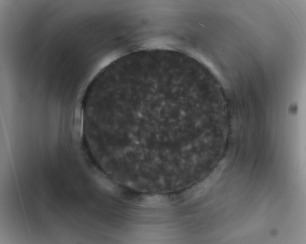 X0000102531219200808221857