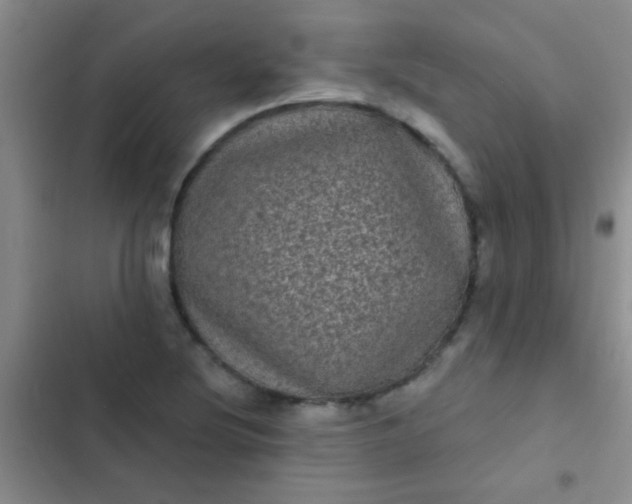 X0000102531220200808221857