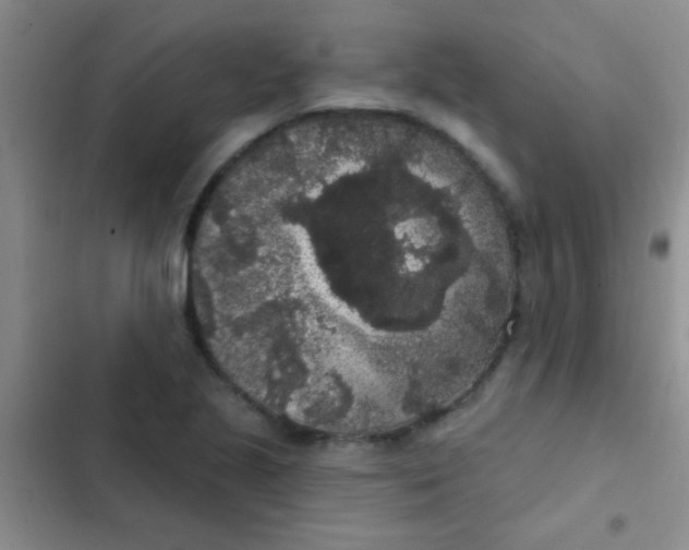 X0000102531221200808221857