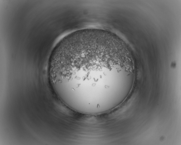 X0000102531222200808221857