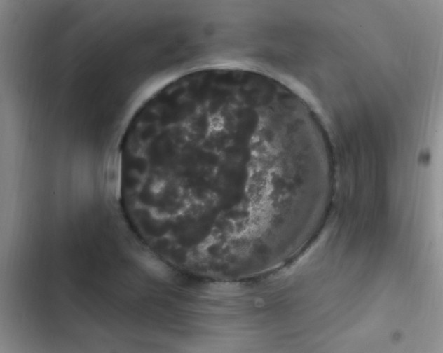 X0000102531223200808221857