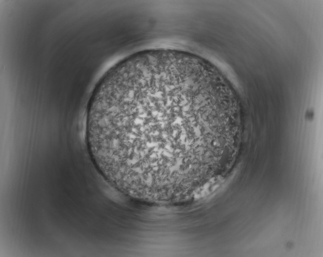 X0000102531224200808221857