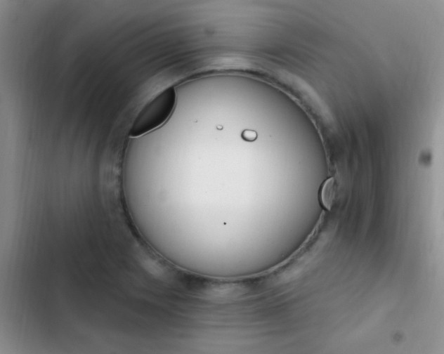 X0000102531225200808221857