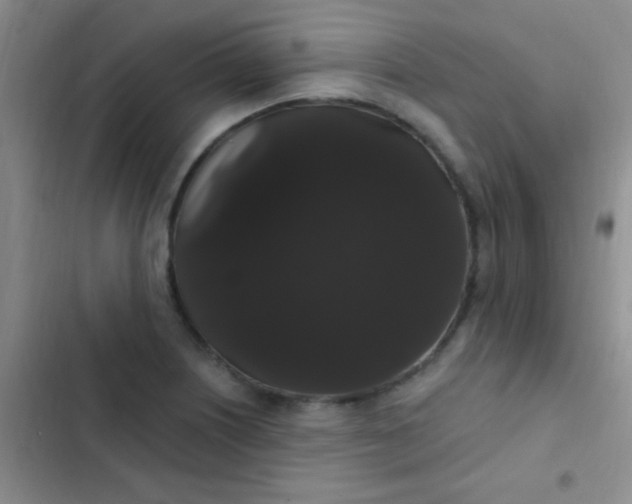 X0000102531226200808221857